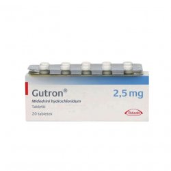 Гутрон таблетки 2,5 мг. №20 в Тюмени и области фото